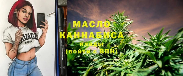соль ск Бородино