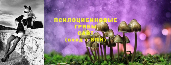 амф Бугульма