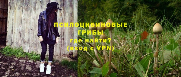 амф Бугульма