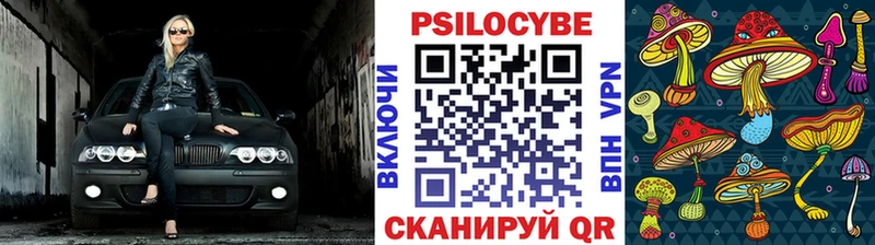 Псилоцибиновые грибы мицелий  Купить где  Можга 