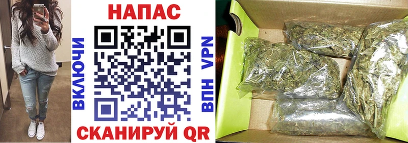 Купить закладки  Можга  Марихуана Amnesia 
